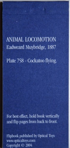 Kineograf Muybridge flipbook - Lecąca papuga