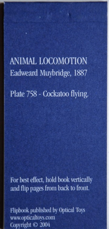 Kineograf Muybridge flipbook - Lecąca papuga