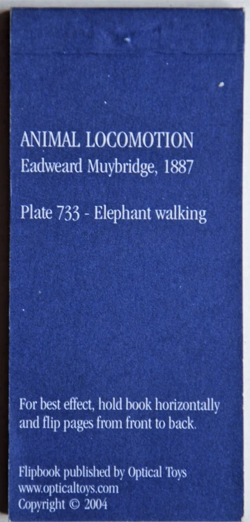 Kineograf Muybridge flipbook - Kroczący słoń