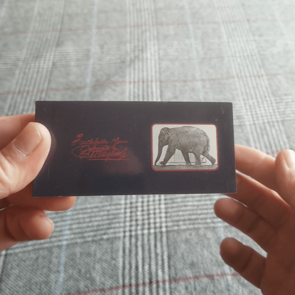 Animal Locomotion - Elephant by Muybridge