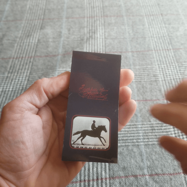 Kineograf koń Florence