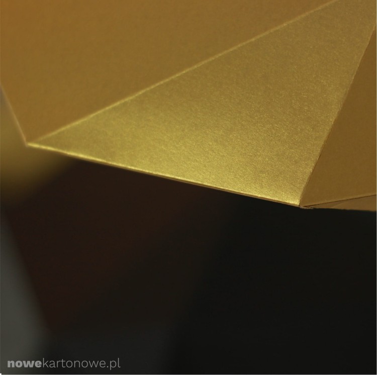 nowekartonowe-black-bull