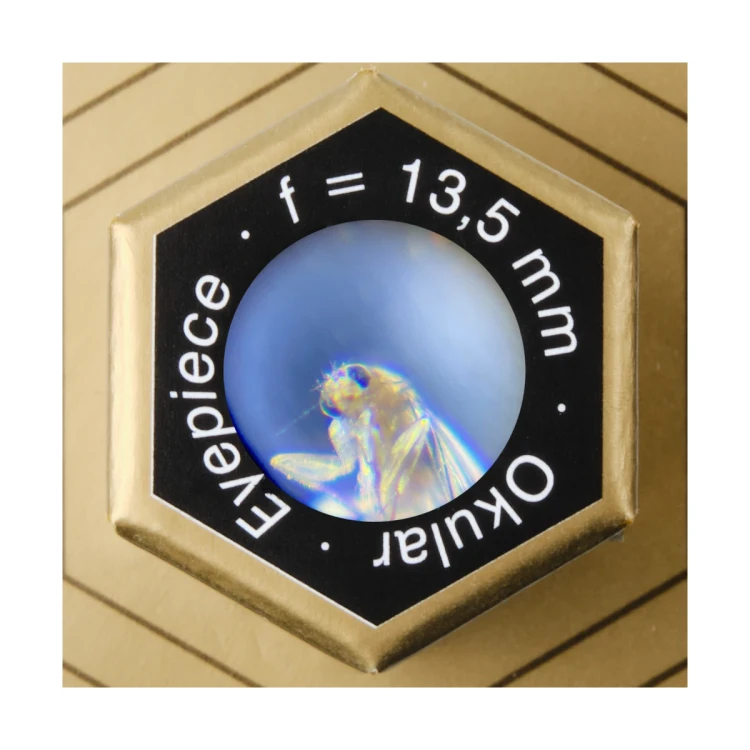 Mikroskop DIY (pow. 70x)