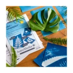 Papier słoneczny (papier do cyjanotypii)