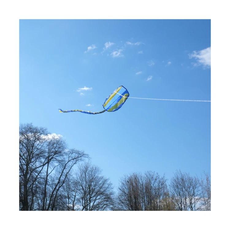 Kieszonkowy latawiec