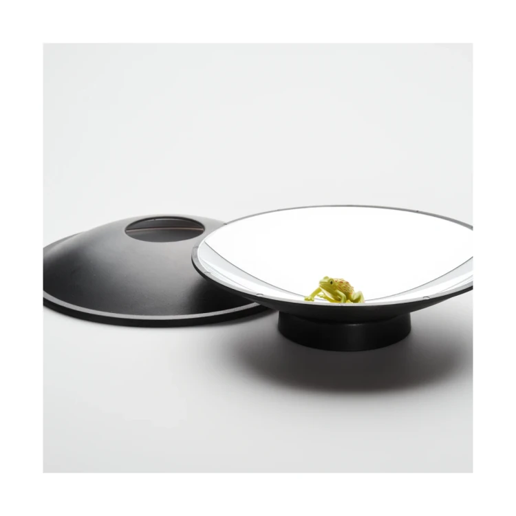 Analogowy projektor hologramów AstroMedia - iluzja optyczna