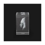 Przycisk do papieru "Einstein"