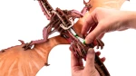 Drewniany Model Mechaniczny 3D Ugears – Smok Ognistej Burzy