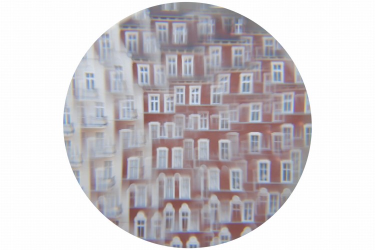 Owadzie okulary - obraz.